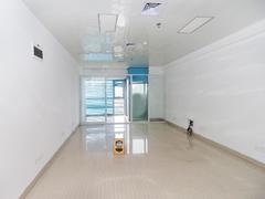 田厦国际中心 1室0厅0厨1卫 45.0m² 整租