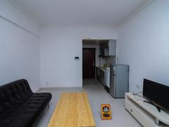 虎门一号 1室1厅1厨1卫 37.0m² 普通装修