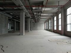 保税区工业厂房 保税区厂房 普通装修 1650m²