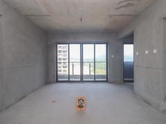 惠州星河丹堤G区 南站旁,大户型大格局,给你一个温馨的家。