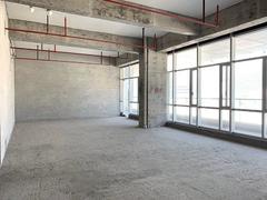 清凤创投大厦 双地铁 一手业主急租 户型房正实用